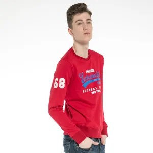 Print Knit Stretch Sweatshirt