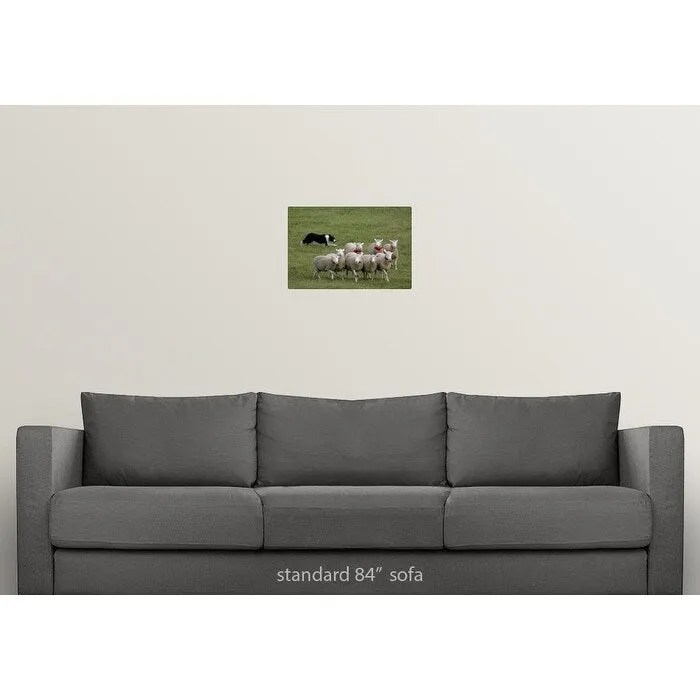 "Border Collie herding sheep" Poster Print - Multi
