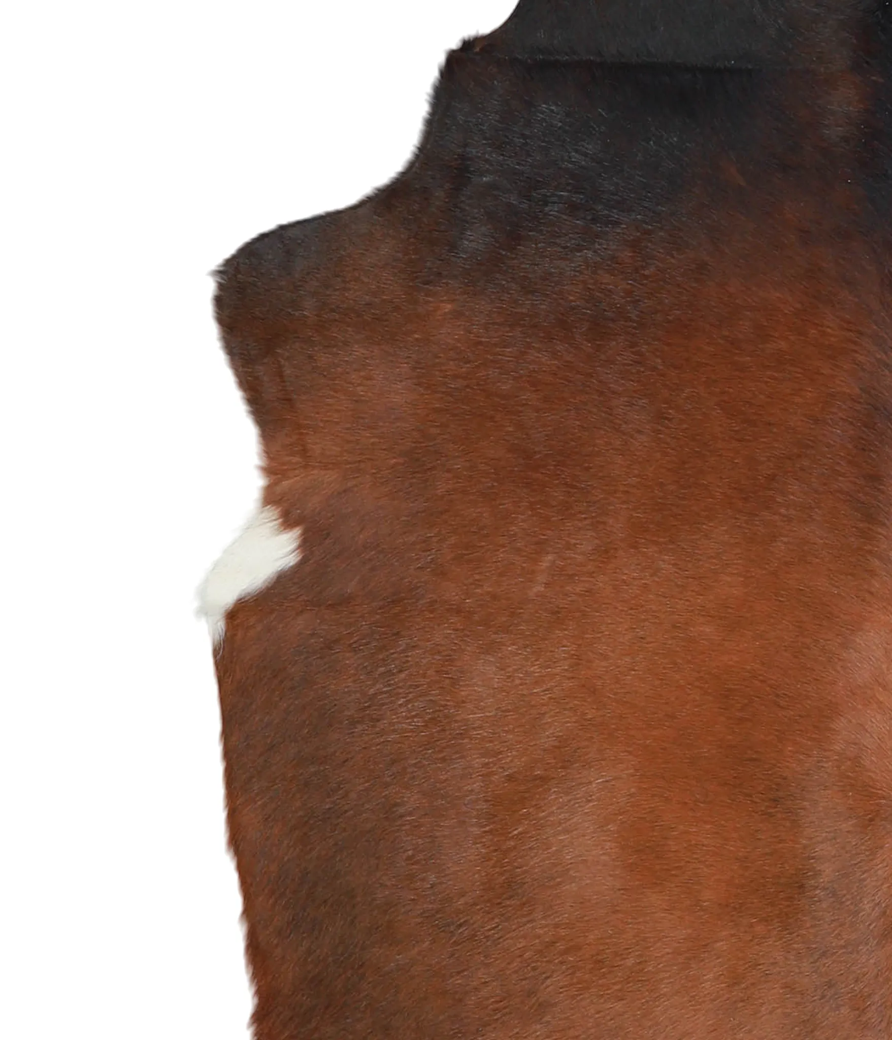 Warm Caramel Large Brazilian Cowhide Rug 6'3"H x 5'2"W #A21452 by Hudson Hides