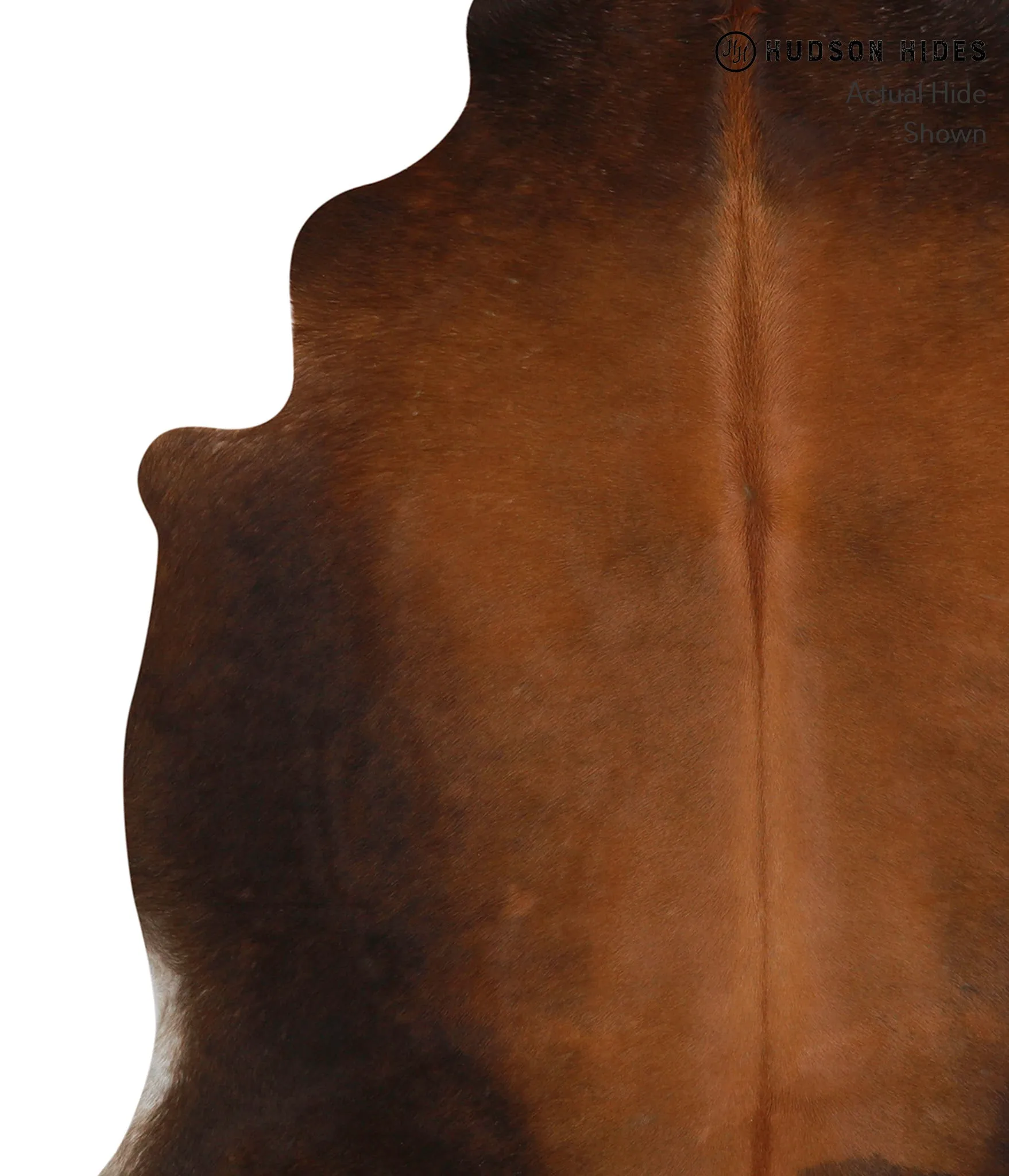 Warm Caramel Large Brazilian Cowhide Rug 6'4"H x 5'10"W #83138 by Hudson Hides