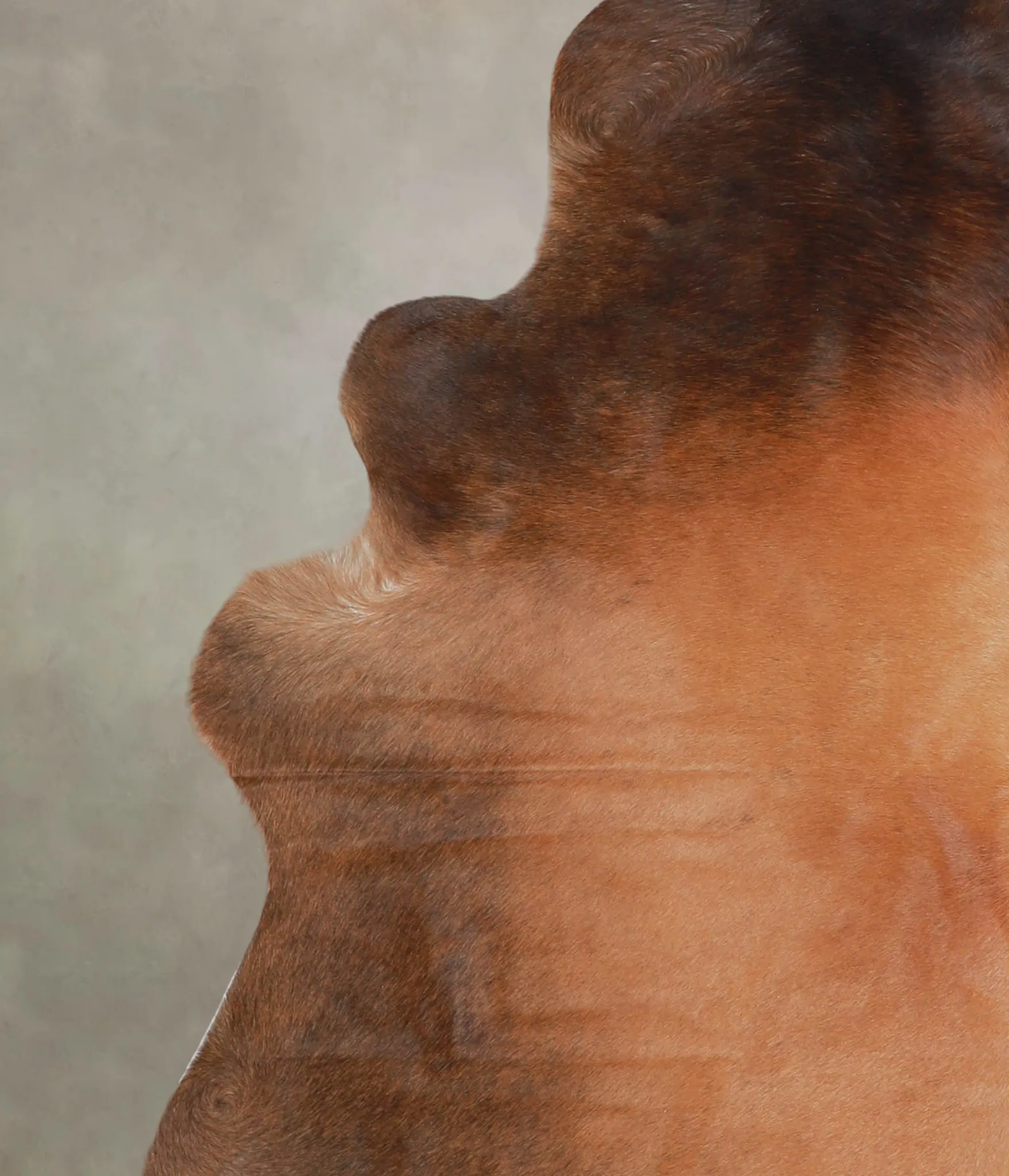 Warm Caramel X-Large Brazilian Cowhide Rug 7'2"H x 6'4"W #A24520 by Hudson Hides