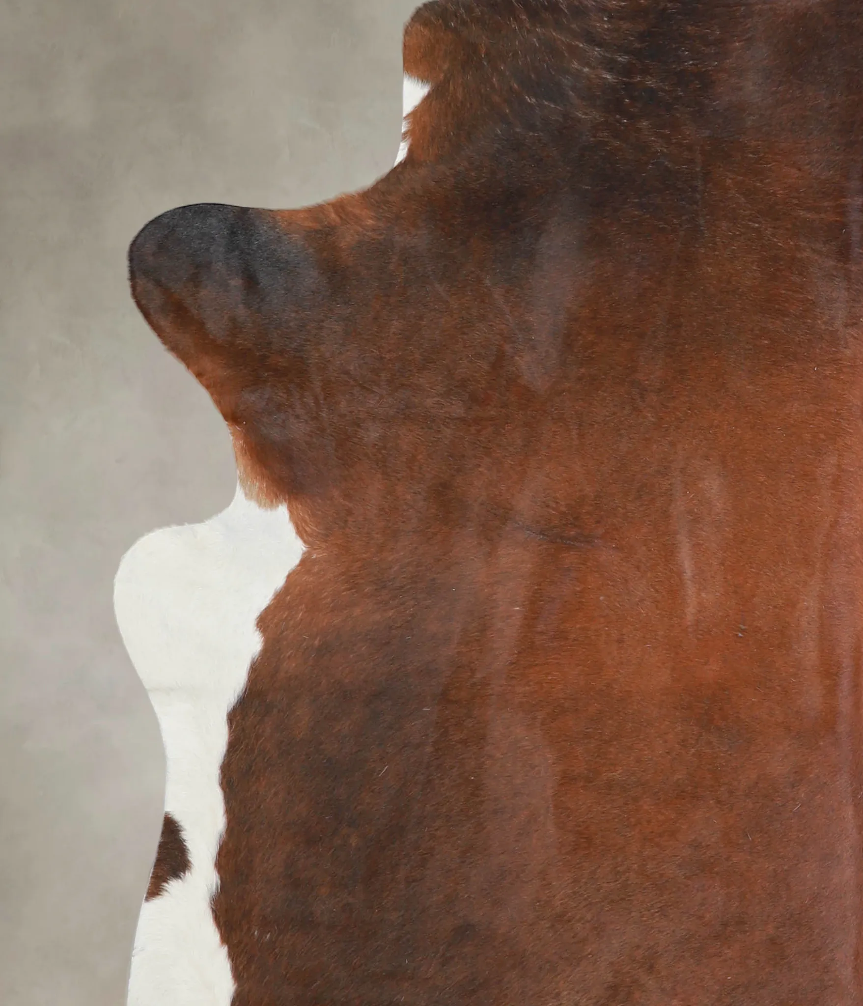 Warm Caramel X-Large Brazilian Cowhide Rug 7'4"H x 6'7"W #A23675 by Hudson Hides
