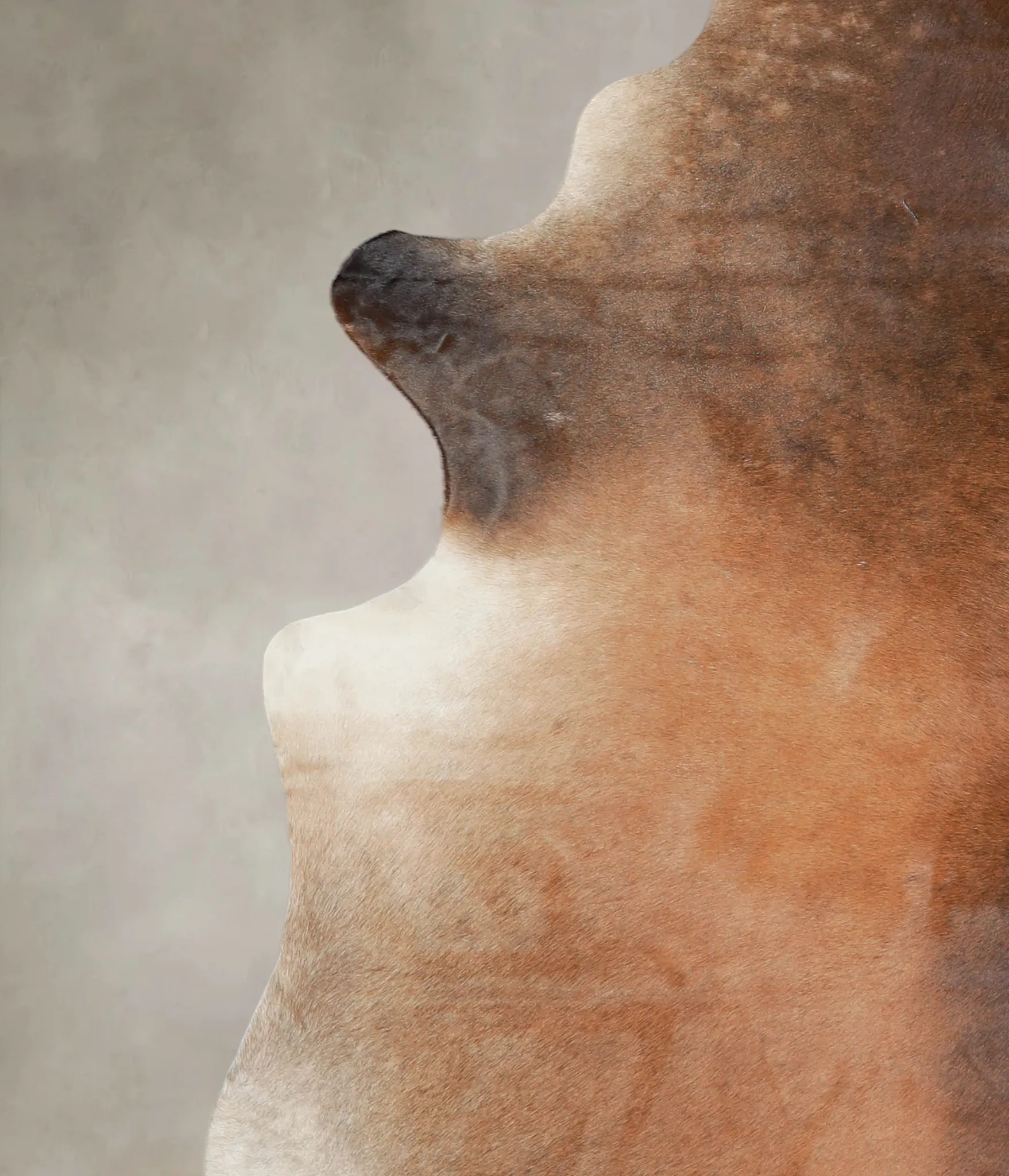 Warm Caramel XX-Large Brazilian Cowhide Rug 8'0"H x 6'11"W #A24517 by Hudson Hides